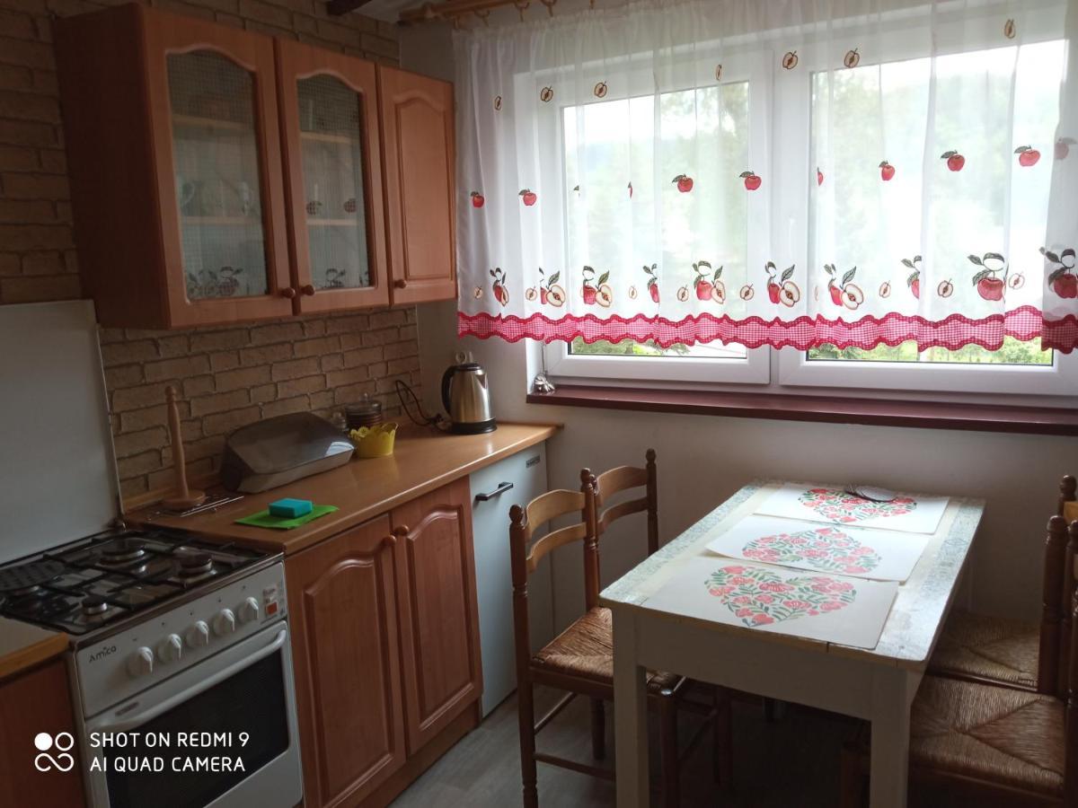 Domek I Apartamenty Stokrotka Krynica-Zdrój Kültér fotó